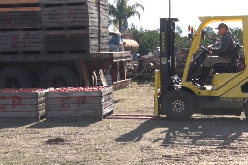 Juan Velazco - Productor Citricola - Quinta San Jorge en Colonia Ayuí