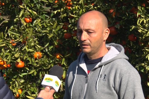 Juan Velazco - Productor Citricola - Quinta San Jorge en Colonia Ayuí