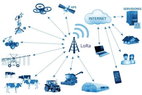 Celular en mano creen que se puede tener el control total del campo