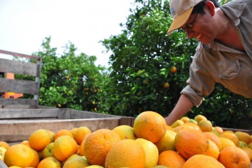 Curso para inspectores de empaque de fruta fresca cítrica para exportación