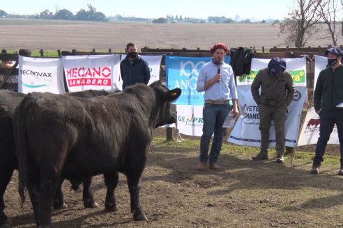 Angus Litoral se florea en Establecimiento Pilar, de Ramírez - 2° Jura Fenotípica de la 6ta. Prueba Pastoril