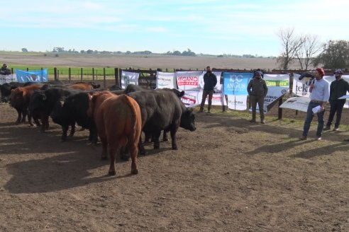 Angus Litoral se florea en Establecimiento Pilar, de Ramírez - 2° Jura Fenotípica de la 6ta. Prueba Pastoril