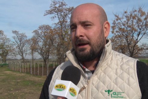 Angus Litoral se florea en Establecimiento Pilar, de Ramírez - 2° Jura Fenotípica de la 6ta. Prueba Pastoril