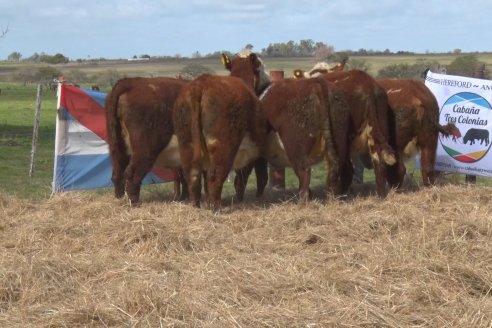 Cabaña Tres Colonias muestra el resultado de un año de trabajo