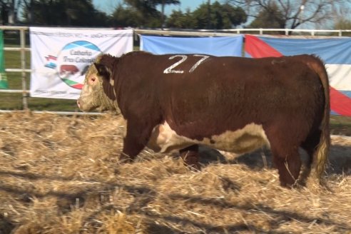 Cabaña Tres Colonias muestra el resultado de un año de trabajo