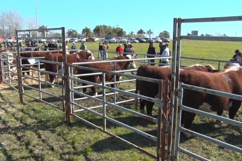 Cabaña Tres Colonias muestra el resultado de un año de trabajo