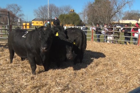 Cabaña Tres Colonias muestra el resultado de un año de trabajo