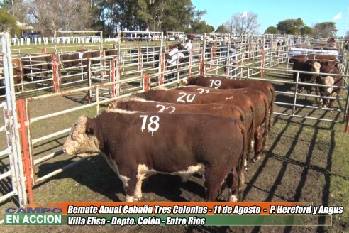 Cabaña Tres Colonias muestra el resultado de un año de trabajo