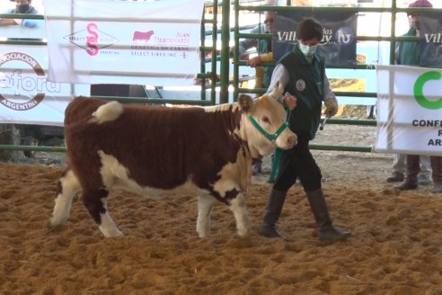 Jura Hereford Expo Rural Villaguay 2021