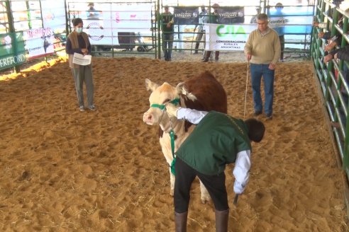 Jura Hereford Expo Rural Villaguay 2021