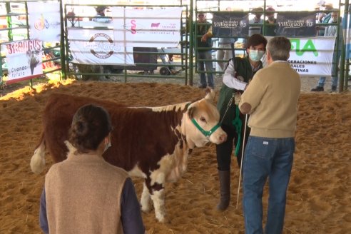 Jura Hereford Expo Rural Villaguay 2021