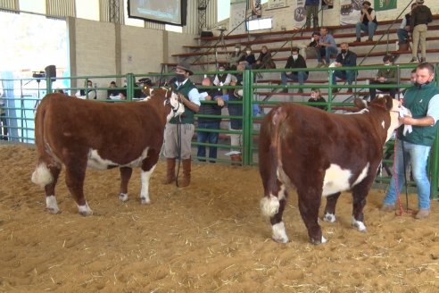 Jura Hereford Expo Rural Villaguay 2021