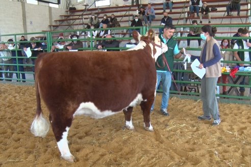 Jura Hereford Expo Rural Villaguay 2021