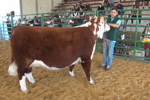 Jura Hereford Expo Rural Villaguay 2021