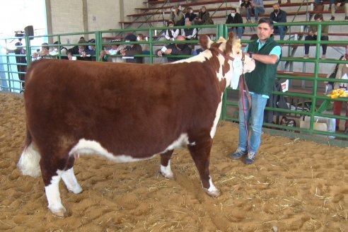 Jura Hereford Expo Rural Villaguay 2021