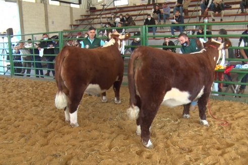 Jura Hereford Expo Rural Villaguay 2021