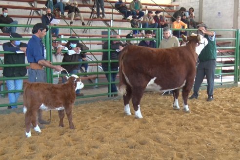 Jura Hereford Expo Rural Villaguay 2021