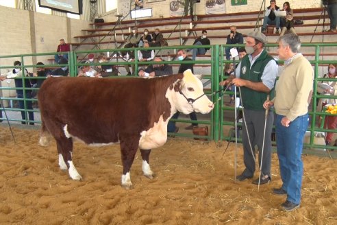 Jura Hereford Expo Rural Villaguay 2021