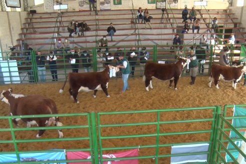 Jura Hereford Expo Rural Villaguay 2021