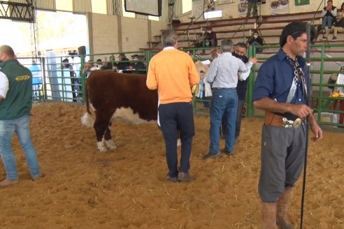 Jura Hereford Expo Rural Villaguay 2021