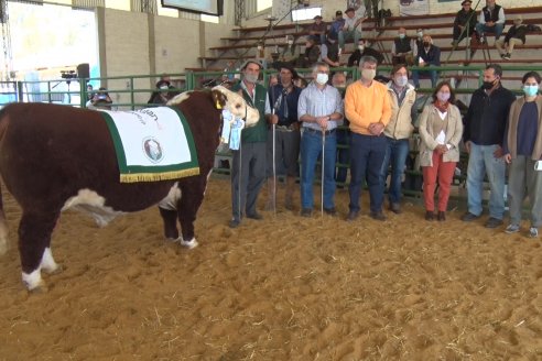 Jura Hereford Expo Rural Villaguay 2021