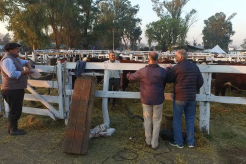 Jura Hereford Expo Rural Villaguay 2021