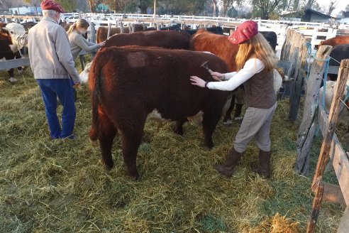 Jura Hereford Expo Rural Villaguay 2021