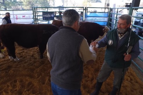 Jura Hereford Expo Rural Villaguay 2021