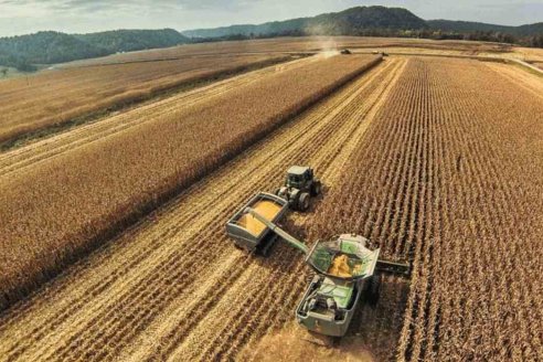 Brasil estima una fuerte pérdida de cosecha