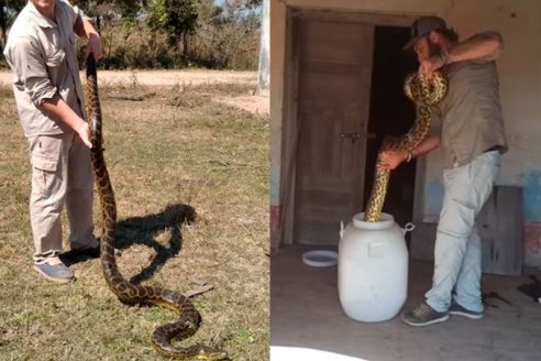 Heredó una casa de su abuela y se encontró con dos anacondas