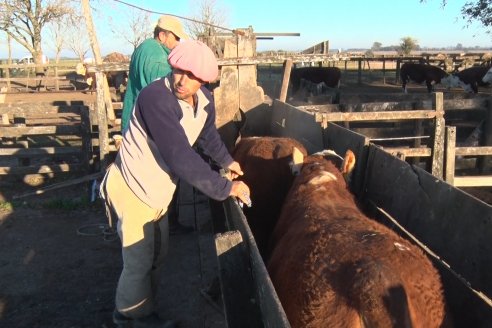 Cabaña La Reconquista de Jorge Holzmann - Preparativos del 6to Remate Anual junto Cabaña El Mojón