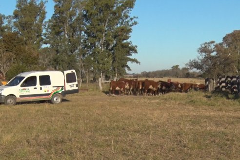 Cabaña La Reconquista de Jorge Holzmann - Preparativos del 6to Remate Anual junto Cabaña El Mojón