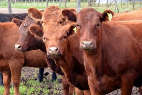 Capacitarán en bienestar animal a productores del sur de la provincia