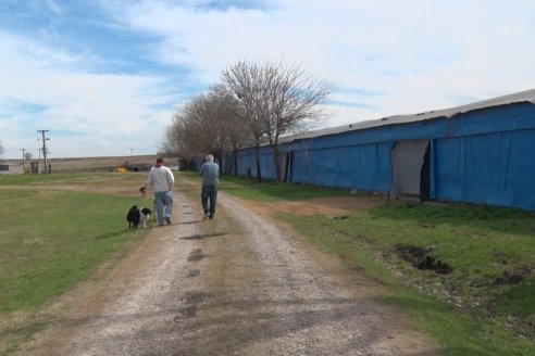 Ricardo Unrein - Pte. Cámara Argentina de Productores Integrados de Pollos - 