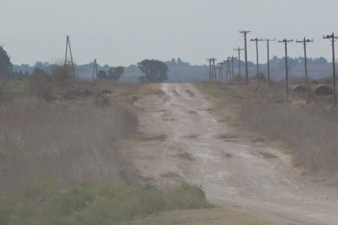 Ricardo Unrein - Pte. Cámara Argentina de Productores Integrados de Pollos - 