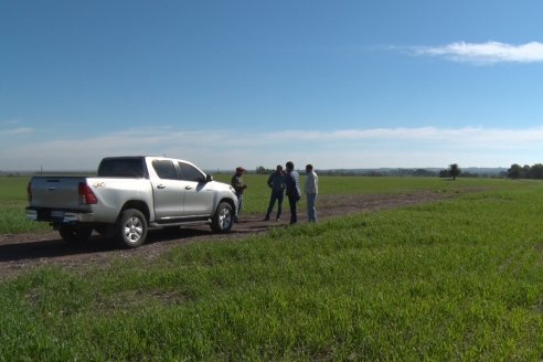 Visita a Establecimiento San Alfonso - Sanidad del Cultivo del Trigo