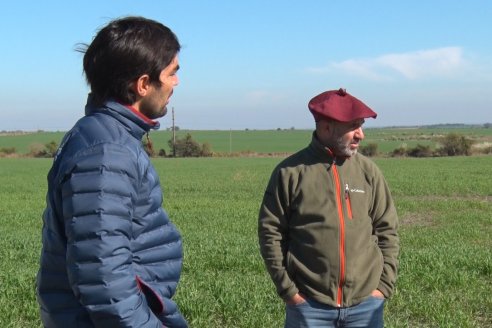 Visita a Establecimiento San Alfonso - Sanidad del Cultivo del Trigo