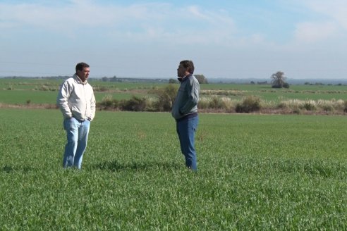 Visita a Establecimiento San Alfonso - Sanidad del Cultivo del Trigo