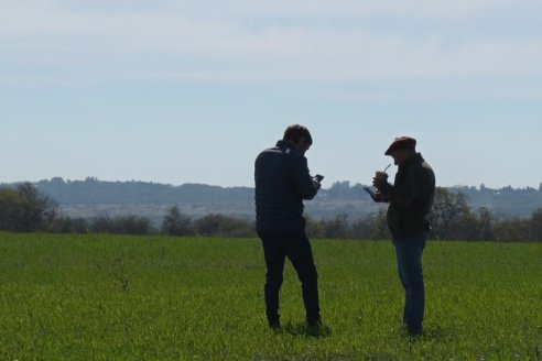 Visita a Establecimiento San Alfonso - Sanidad del Cultivo del Trigo