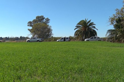 Visita a Establecimiento San Alfonso - Sanidad del Cultivo del Trigo