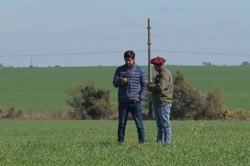 Visita a Establecimiento San Alfonso - Sanidad del Cultivo del Trigo