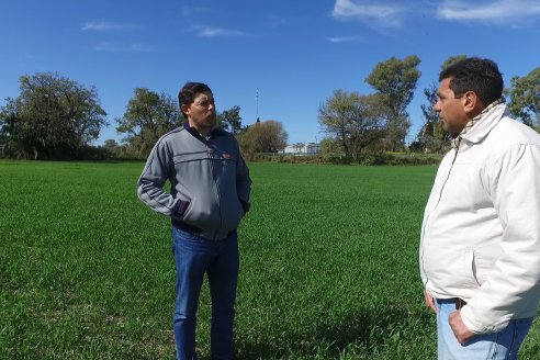 Visita a Establecimiento San Alfonso - Sanidad del Cultivo del Trigo