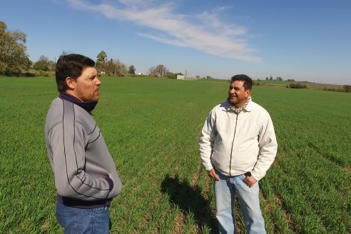 Visita a Establecimiento San Alfonso - Sanidad del Cultivo del Trigo