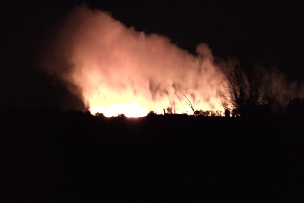Las llamas abrazaron cientos de hectáreas isleñas pero se controló.