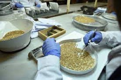 Dictan la carrera de Perito Clasificador de Cereales y Oleaginosos