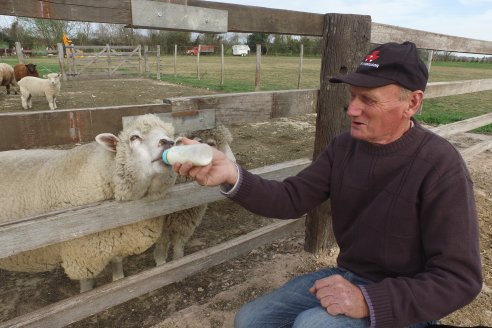 Hugo Born: “Si tendría que ir a vivir al pueblo no sé qué me pasaría, yo amo vivir aquí, en el campo”