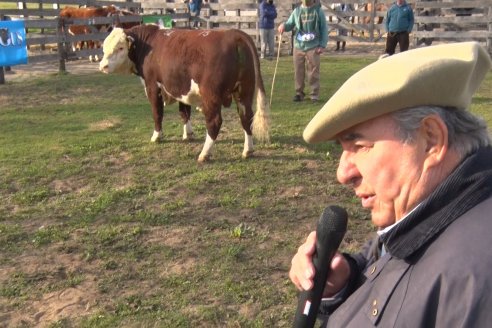 Hereford se floreó en la muestra de la Sociedad Rural de Gualeguaychú
