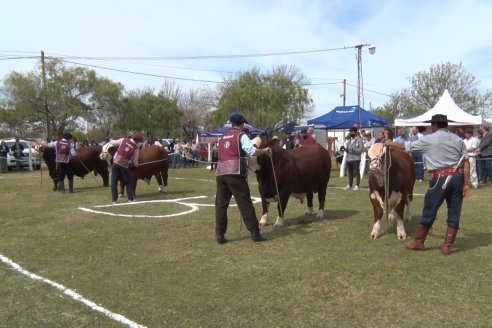 Jura Braford en la Exposición Gandera de la Sociedad Rural de Feliciano 2021