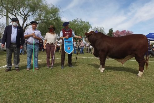 Jura Braford en la Exposición Gandera de la Sociedad Rural de Feliciano 2021