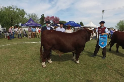 Jura Braford en la Exposición Gandera de la Sociedad Rural de Feliciano 2021